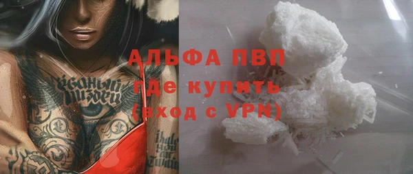 стаф Гусев