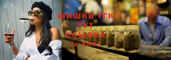 стаф Гусев