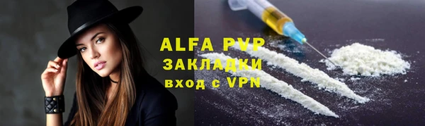 стаф Гусев