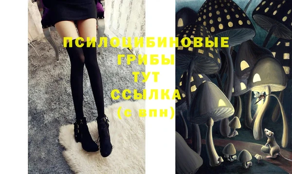 соль курить ск Гусиноозёрск