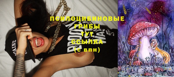 герыч Гусь-Хрустальный
