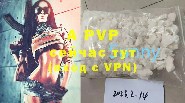 стаф Гусев