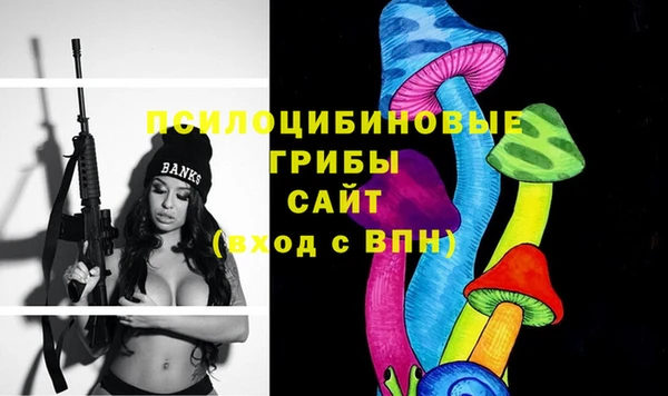 стаф Гусев